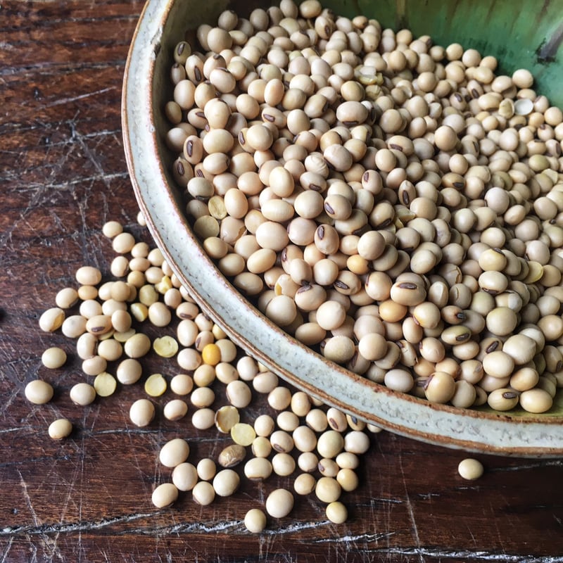 Soya Beans (organic)
