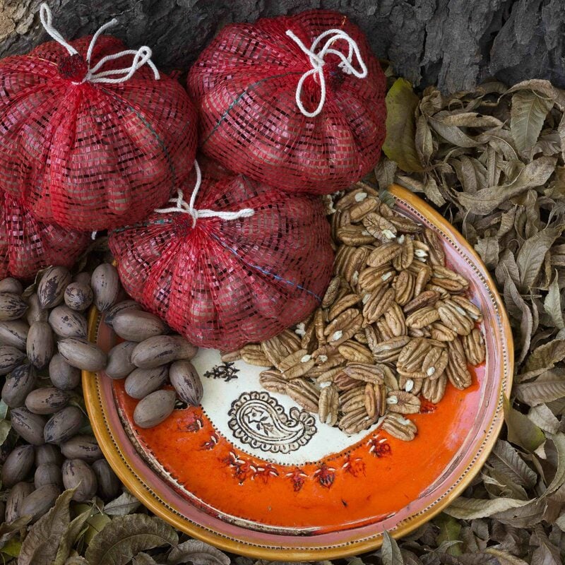 Pecan Nuts - unshelled